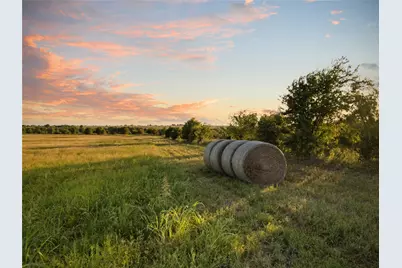 1549 Fm 219, Clifton, TX 76634 - Photo 9