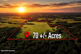 Tbd SW County Road 3250, Winnsboro, TX 75494 - Photo 1