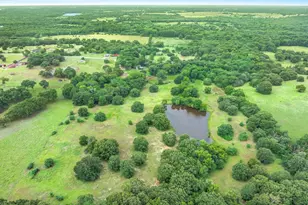 580 Vz County Road 3518, Wills Point, TX 75169 - Photo 7