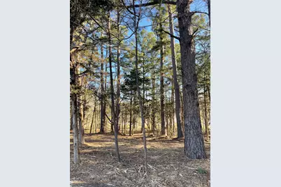 Tbd Lot 6 County Road 2200, Mineola, TX 75773 - Photo 11