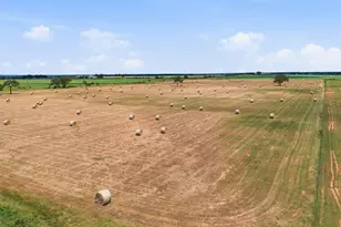 618 Hwy 2731, Rising Star, TX 76471 - Photo 33