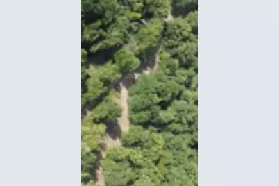 10740 N US Hwy 175, Athens, TX 75751 - Photo 3