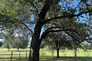 6303 Greenvine Rd, Brenham, TX 77833 - Photo 19