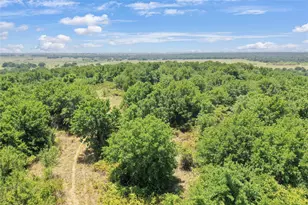 6551 Crooked Creek Rd, Jacksboro, TX 76458 - Photo 13