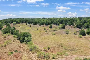 6551 Crooked Creek Rd, Jacksboro, TX 76458 - Photo 9