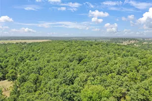 6551 Crooked Creek Rd, Jacksboro, TX 76458 - Photo 7