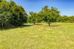 Laramie Tbd N Fm 51, Weatherford, TX 76088 - Photo 9