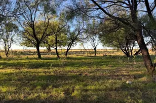 2241 Schlegel Rd, Olney, TX 76374 - Photo 3