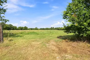 1131 Vz Cr 3815, Wills Point, TX 75169 - Photo 9