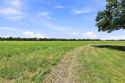 12097 Kyle Lane, Blue Ridge, TX 75424 - Photo 7