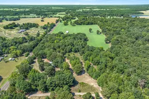 16973 FM773, Ben Wheeler, TX 75754 - Photo 5