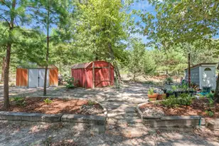16973 FM773, Ben Wheeler, TX 75754 - Photo 11