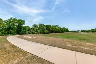 162 Shelby Trce, Murphy, TX 75094 - Photo 37