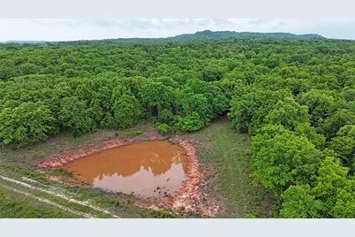 2300 Cobb Hollow Road, Saint Jo, TX 76265 - Photo 11