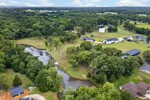 10255 County Rd 137, Flint, TX 75762 - Photo 3