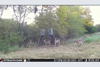 3636 State Highway 56, Bells, TX 75414 - Photo 35
