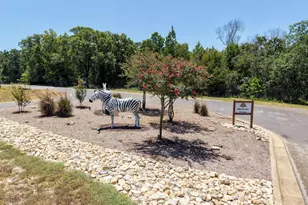 9236 Safari Bluff, LaRue, TX 75770 - Photo 33