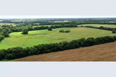 Tbd Cr 1055 Road, Celeste, TX 75423 - Photo 23