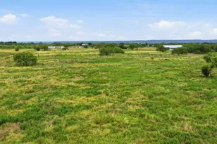 5599 S Fm 113, Millsap, TX 76066 - Photo 37