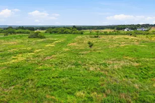 5599 S Fm 113, Millsap, TX 76066 - Photo 35