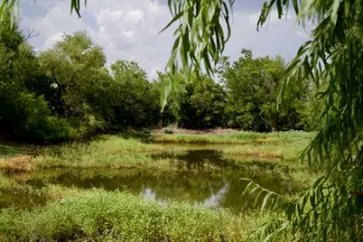 345 Butler Loop, Graham, TX 76450 - Photo 21