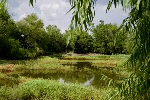 345 Butler Loop, Graham, TX 76450 - Photo 21