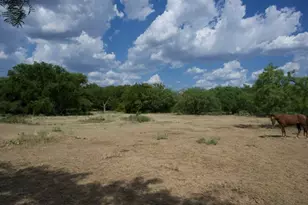 345 Butler Loop, Graham, TX 76450 - Photo 9
