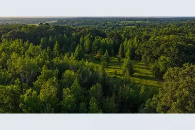 0000 Vz County Road 4912, Ben Wheeler, TX 75754 - Photo 35
