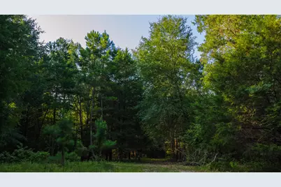 0000 Vz County Road 4912, Ben Wheeler, TX 75754 - Photo 31