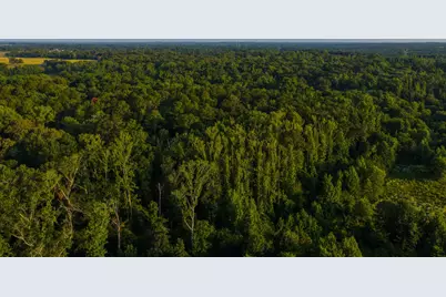 0000 Vz County Road 4912, Ben Wheeler, TX 75754 - Photo 33