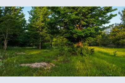 0000 Vz County Road 4912, Ben Wheeler, TX 75754 - Photo 21