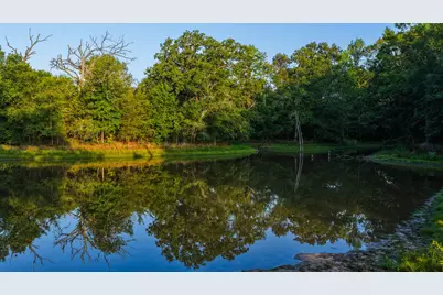 0000 Vz County Road 4912, Ben Wheeler, TX 75754 - Photo 3