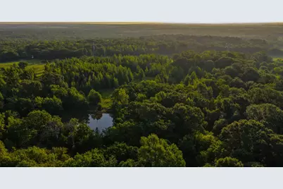 0000 Vz County Road 4912, Ben Wheeler, TX 75754 - Photo 1