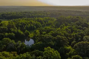 0000 Vz County Road 4912, Ben Wheeler, TX 75754 - Photo 1