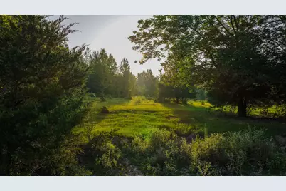 0000 Vz County Road 4912, Ben Wheeler, TX 75754 - Photo 13