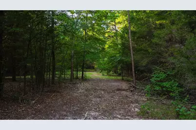 0000 Vz County Road 4912, Ben Wheeler, TX 75754 - Photo 29