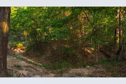 0000 Vz County Road 4912, Ben Wheeler, TX 75754 - Photo 25
