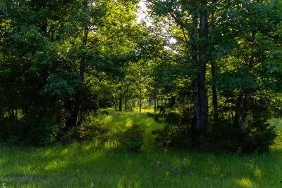 0000 Vz County Road 4912, Ben Wheeler, TX 75754 - Photo 15