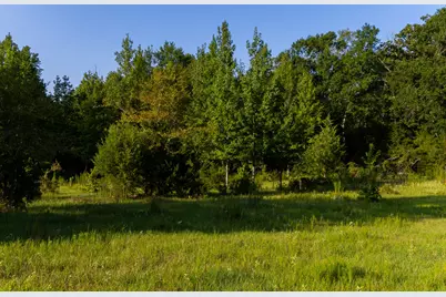 0000 Vz County Road 4912, Ben Wheeler, TX 75754 - Photo 17