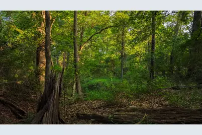 0000 Vz County Road 4912, Ben Wheeler, TX 75754 - Photo 27