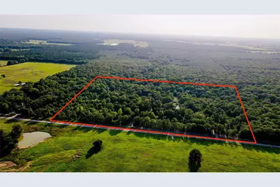 1167 County Road 44600, Blossom, TX 75416 - Photo 5