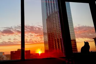 1200 Main St, Dallas, TX 75202 - Photo 9