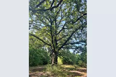 5623 Fm 100, Honey Grove, TX 75446 - Photo 31