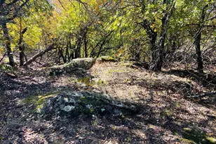 Lot 457 Lakeside Dr, Bowie, TX 76230 - Photo 1