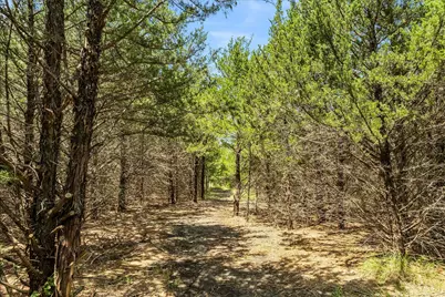 976 Fm 2194, Farmersville, TX 75442 - Photo 33