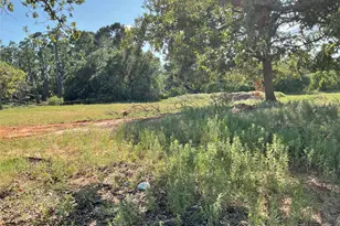 133 Firefly Dr, Springtown, TX 76082 - Photo 15