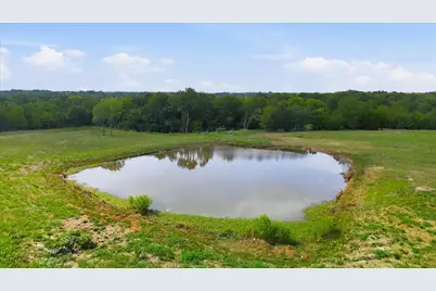 Tbd Private Road 5440 #Lot 19, Point, TX 75472 - Photo 5