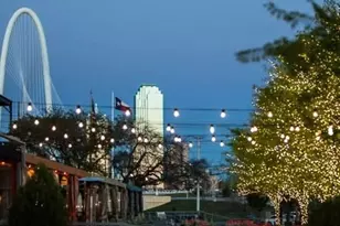 2507 Jim St, Dallas, TX 75212 - Photo 21