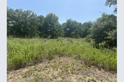 Tbd Cr 3841 #Tract 64, Hawkins, TX 75765 - Photo 3