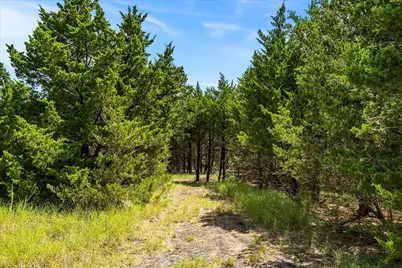 976 Fm 2194, Farmersville, TX 75442 - Photo 31